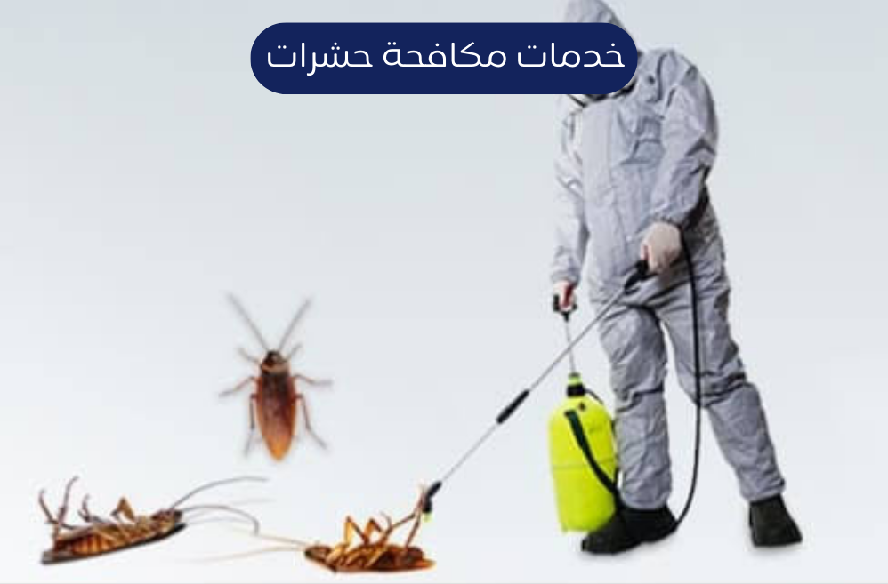 خدمات مكافحة حشرات